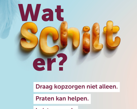 Wat schilt er?